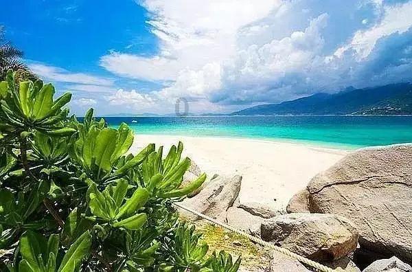 夏克立强调自己从未家暴，黄嘉千身上的伤是自己抓的